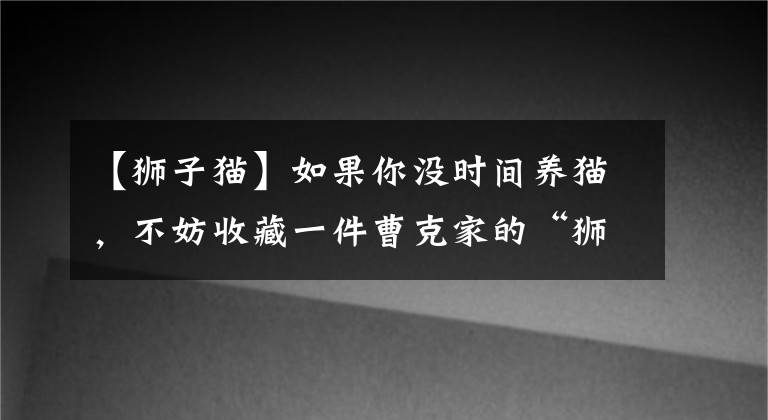 【獅子貓】如果你沒時(shí)間養(yǎng)貓，不妨收藏一件曹克家的“獅子貓”