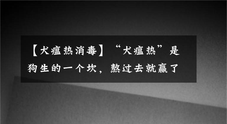 【犬瘟熱消毒】“犬瘟熱”是狗生的一個坎，熬過去就贏了熬不過去就輸了