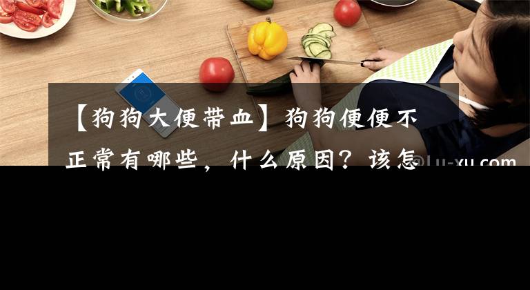 【狗狗大便帶血】狗狗便便不正常有哪些，什么原因？該怎么辦？