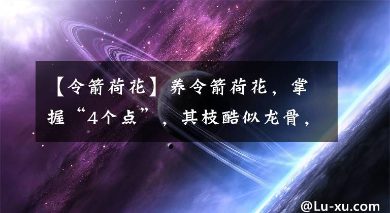 【令箭荷花】養(yǎng)令箭荷花，掌握“4個點”，其枝酷似龍骨，花如荷花，婀娜多姿