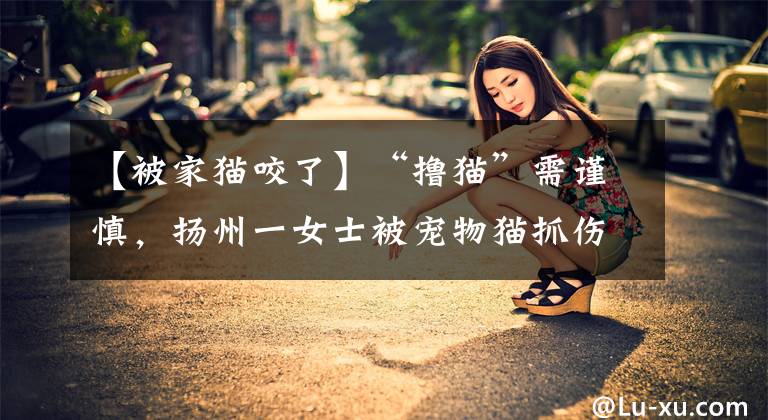 【被家貓咬了】“擼貓”需謹(jǐn)慎，揚州一女士被寵物貓抓傷后患上罕見病