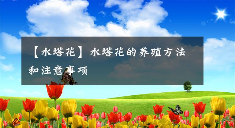 【水塔花】水塔花的養(yǎng)殖方法和注意事項(xiàng)