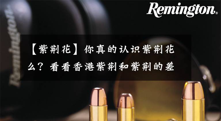 【紫荊花】你真的認(rèn)識(shí)紫荊花么？看看香港紫荊和紫荊的差別