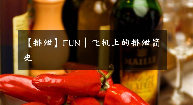 【排泄】FUN｜飛機上的排泄簡史