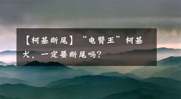 【柯基斷尾】“電臀王”柯基犬，一定要斷尾嗎？