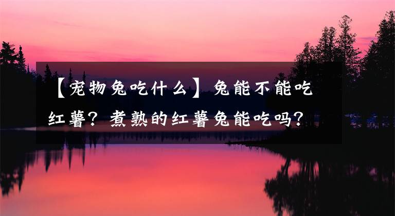 【寵物兔吃什么】兔能不能吃紅薯？煮熟的紅薯兔能吃嗎？