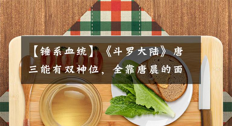 【錘系血統(tǒng)】《斗羅大陸》唐三能有雙神位，全靠唐晨的面子，血統(tǒng)論還是戒不掉