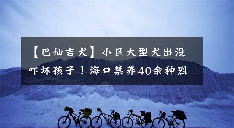 【巴仙吉犬】小區(qū)大型犬出沒嚇壞孩子！?？诮B(yǎng)40余種烈性犬，品種有這些