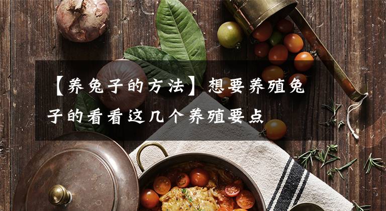 【養(yǎng)兔子的方法】想要養(yǎng)殖兔子的看看這幾個(gè)養(yǎng)殖要點(diǎn)