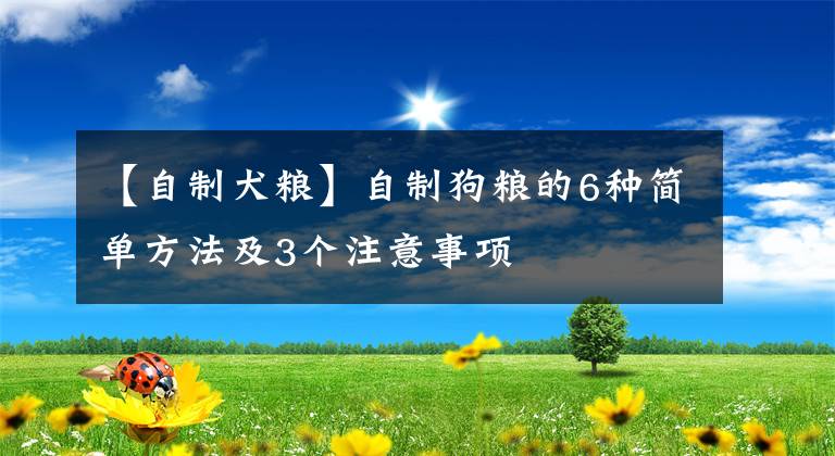 【自制犬糧】自制狗糧的6種簡(jiǎn)單方法及3個(gè)注意事項(xiàng)