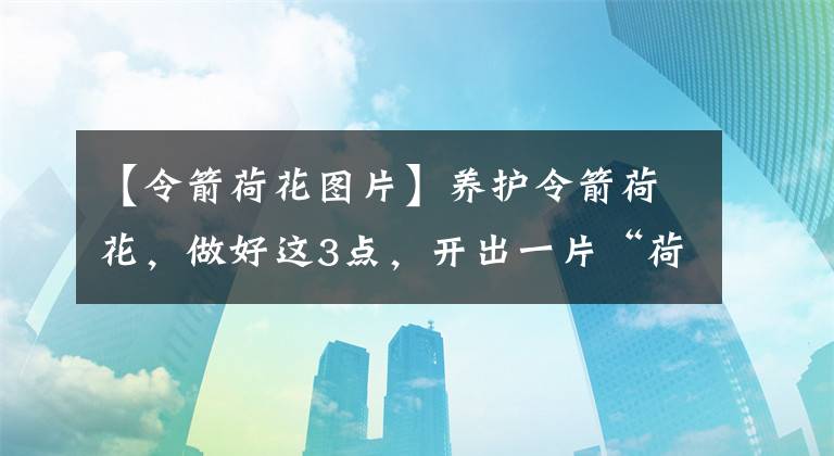 【令箭荷花圖片】養(yǎng)護(hù)令箭荷花，做好這3點(diǎn)，開出一片“荷花?！?></a></div> <div   id=