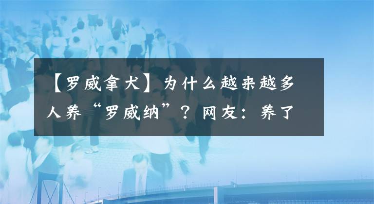 【羅威拿犬】為什么越來(lái)越多人養(yǎng)“羅威納”？網(wǎng)友：養(yǎng)了就不想換狗了