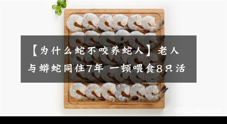 【為什么蛇不咬養(yǎng)蛇人】老人與蟒蛇同住7年 一頓喂食8只活雞