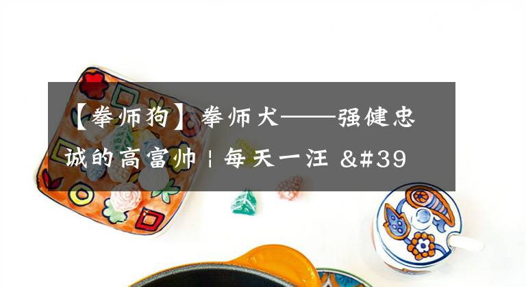 【拳師狗】拳師犬——強(qiáng)健忠誠(chéng)的高富帥 | 每天一汪 ' 福氣安康