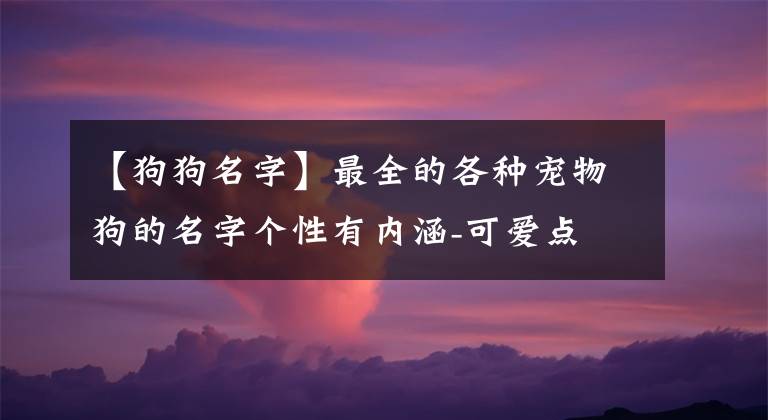 【狗狗名字】最全的各種寵物狗的名字個性有內(nèi)涵-可愛點