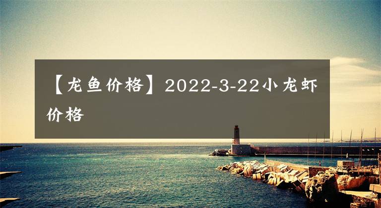 【龍魚價(jià)格】2022-3-22小龍蝦價(jià)格