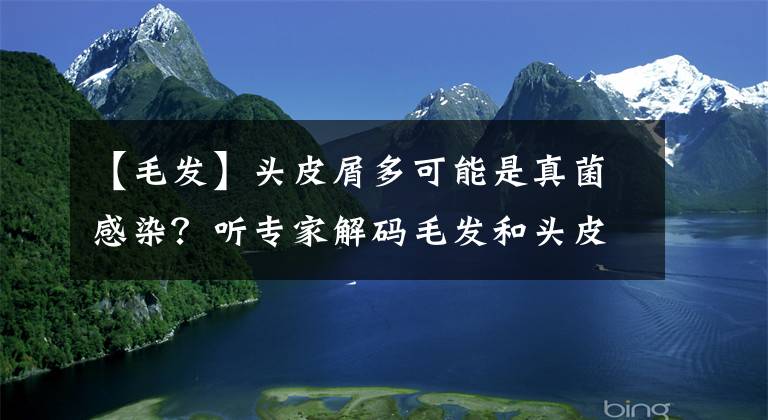 【毛發(fā)】頭皮屑多可能是真菌感染？聽專家解碼毛發(fā)和頭皮健康問題