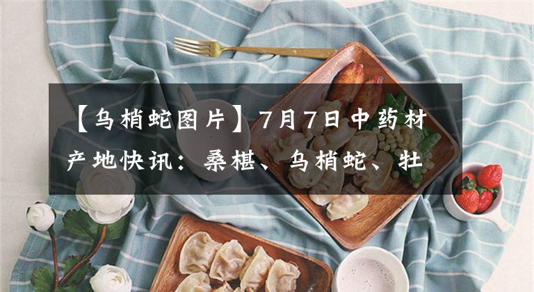 【烏梢蛇圖片】7月7日中藥材產(chǎn)地快訊：桑椹、烏梢蛇、牡丹皮、烏藥、射干、白術(shù)