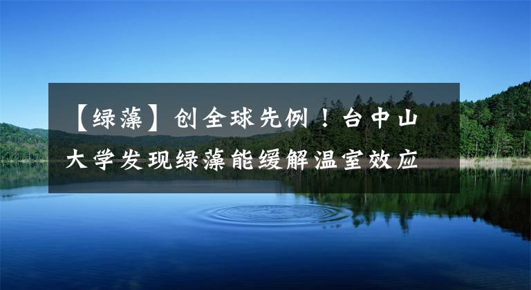 【綠藻】創(chuàng)全球先例！臺中山大學發(fā)現(xiàn)綠藻能緩解溫室效應