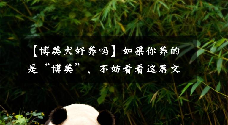 【博美犬好養(yǎng)嗎】如果你養(yǎng)的是“博美”，不妨看看這篇文章，或許能收獲很多