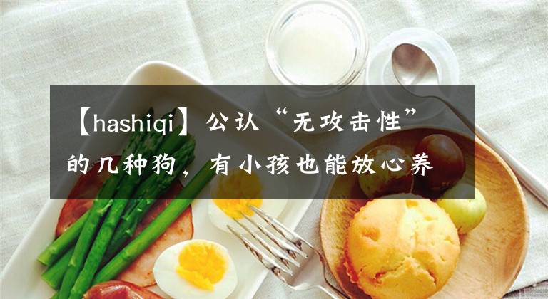 【hashiqi】公認(rèn)“無(wú)攻擊性”的幾種狗，有小孩也能放心養(yǎng)