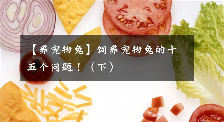 【養(yǎng)寵物兔】飼養(yǎng)寵物兔的十五個(gè)問題?。ㄏ拢?></a></div> <div   id=