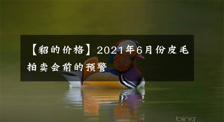 【貂的價格】2021年6月份皮毛拍賣會前的預警