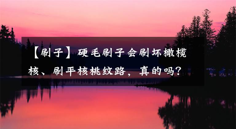 【刷子】硬毛刷子會(huì)刷壞橄欖核、刷平核桃紋路，真的嗎？