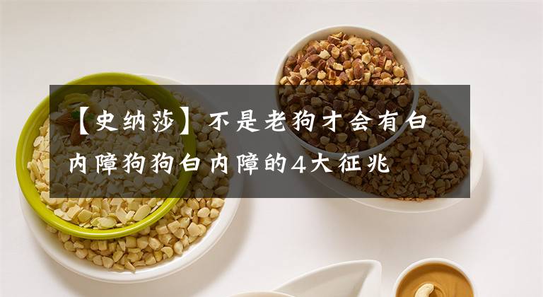 【史納莎】不是老狗才會(huì)有白內(nèi)障狗狗白內(nèi)障的4大征兆