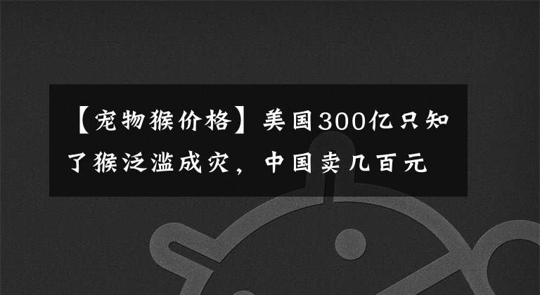 【寵物猴價格】美國300億只知了猴泛濫成災(zāi)，中國賣幾百元一斤，卻還不夠吃？