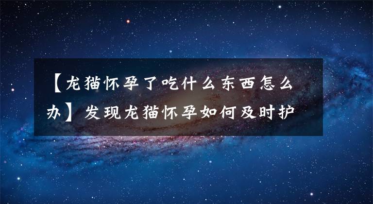 【龍貓懷孕了吃什么東西怎么辦】發(fā)現(xiàn)龍貓懷孕如何及時護理。