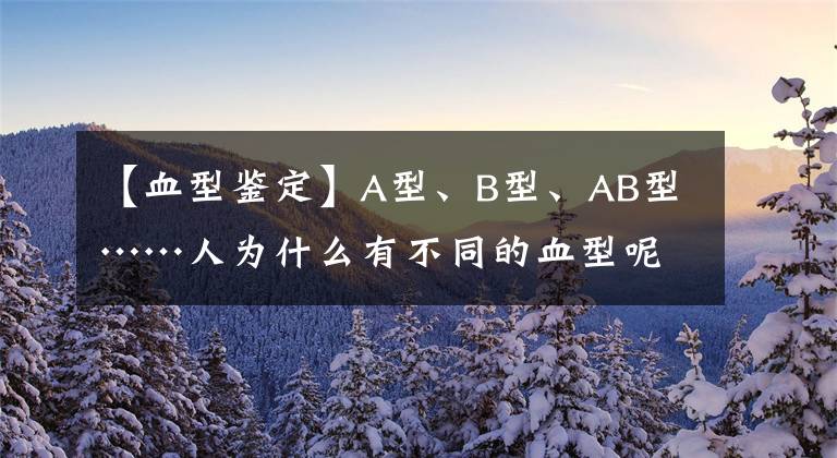 【血型鑒定】A型、B型、AB型……人為什么有不同的血型呢？