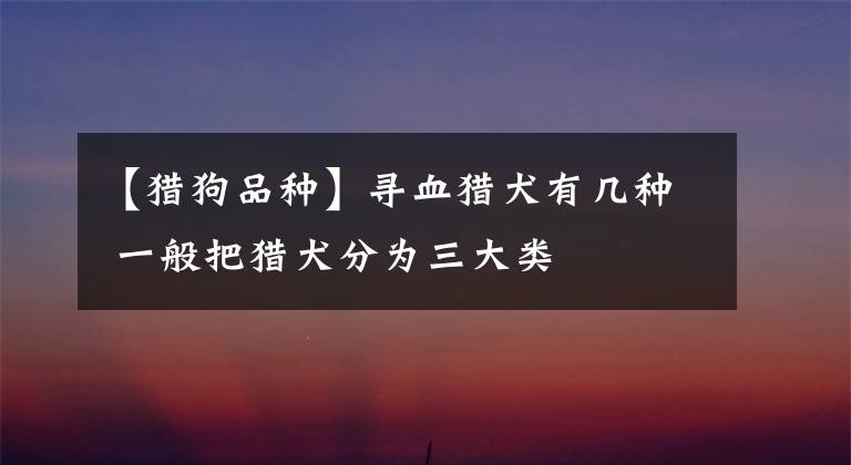 【獵狗品種】尋血獵犬有幾種 一般把獵犬分為三大類