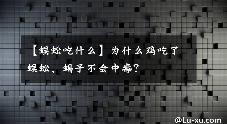 【蜈蚣吃什么】為什么雞吃了蜈蚣，蝎子不會(huì)中毒？