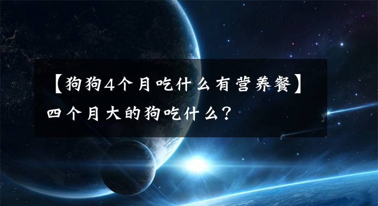 【狗狗4個(gè)月吃什么有營(yíng)養(yǎng)餐】四個(gè)月大的狗吃什么？