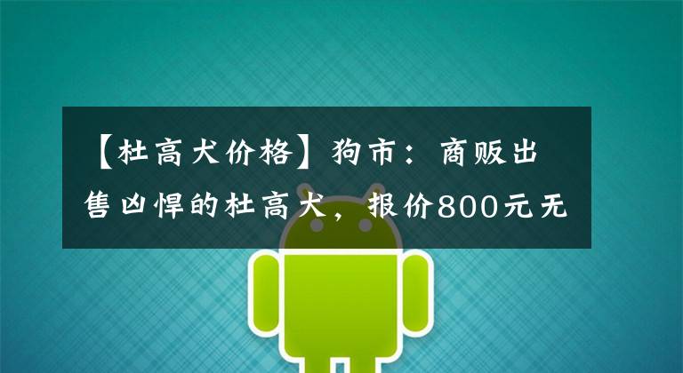 【杜高犬價格】狗市：商販出售兇悍的杜高犬，報價800元無人敢買！