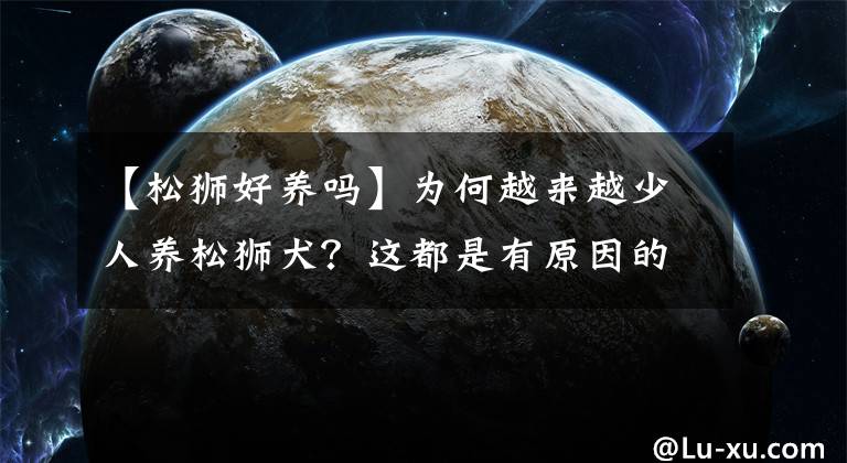 【松獅好養(yǎng)嗎】為何越來越少人養(yǎng)松獅犬？這都是有原因的