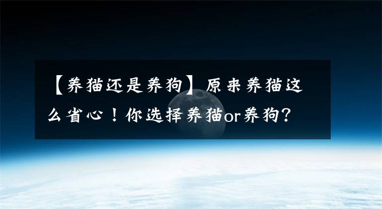 【養(yǎng)貓還是養(yǎng)狗】原來養(yǎng)貓這么省心！你選擇養(yǎng)貓or養(yǎng)狗？