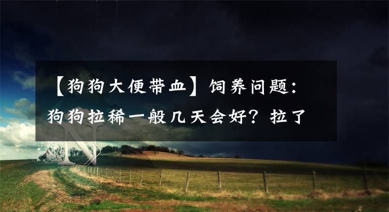 【狗狗大便帶血】飼養(yǎng)問題：狗狗拉稀一般幾天會好？拉了好幾天要怎么處理？