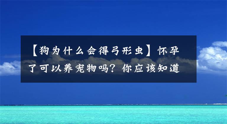 【狗為什么會(huì)得弓形蟲(chóng)】懷孕了可以養(yǎng)寵物嗎？你應(yīng)該知道弓形蟲(chóng)的事。