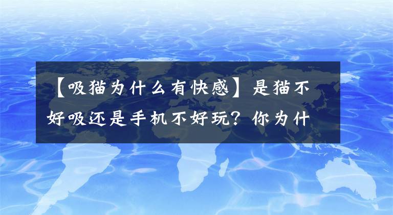 【吸貓為什么有快感】是貓不好吸還是手機不好玩？你為什么要吸食這些會上癮的東西？