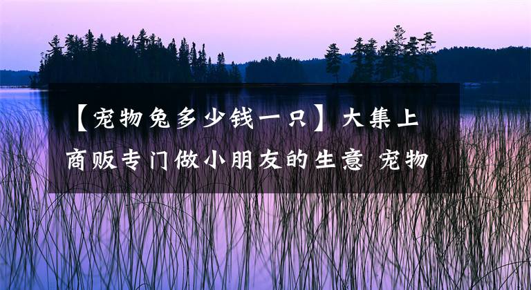 【寵物兔多少錢一只】大集上商販專門做小朋友的生意 寵物兔100元一只被顧客一眼看穿