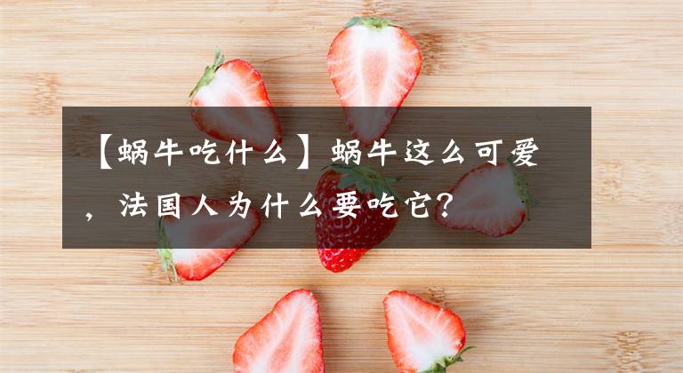 【蝸牛吃什么】蝸牛這么可愛，法國(guó)人為什么要吃它？