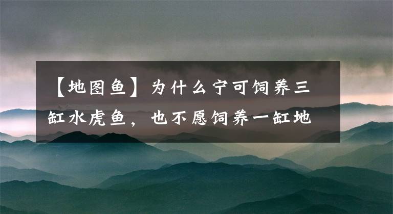 【地圖魚】為什么寧可飼養(yǎng)三缸水虎魚，也不愿飼養(yǎng)一缸地圖魚，原因在哪里？