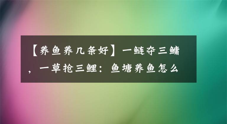 【養(yǎng)魚養(yǎng)幾條好】一鰱奪三鳙，一草搶三鯉：魚塘養(yǎng)魚怎么混養(yǎng)比較合適，把握三點(diǎn)