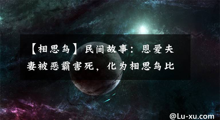 【相思鳥】民間故事：恩愛夫妻被惡霸害死，化為相思鳥比翼高飛