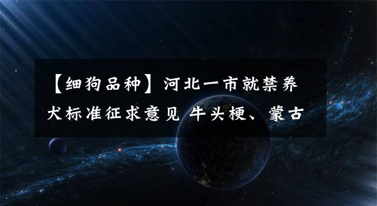 【細狗品種】河北一市就禁養(yǎng)犬標準征求意見 牛頭梗、蒙古細犬……看看擬禁養(yǎng)的狗狗有哪些