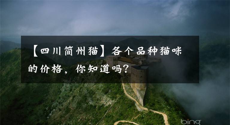 【四川簡(jiǎn)州貓】各個(gè)品種貓咪的價(jià)格，你知道嗎？