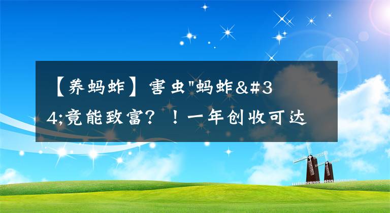 【養(yǎng)螞蚱】害蟲"螞蚱"竟能致富？！一年創(chuàng)收可達(dá)上百萬！