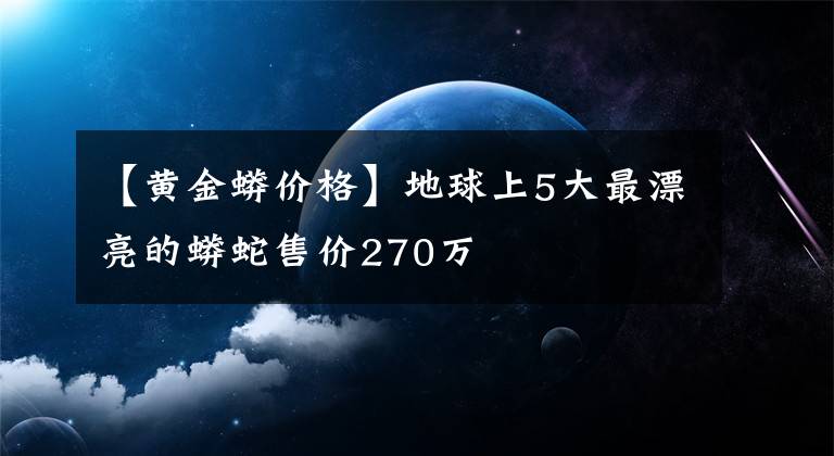 【黃金蟒價格】地球上5大最漂亮的蟒蛇售價270萬